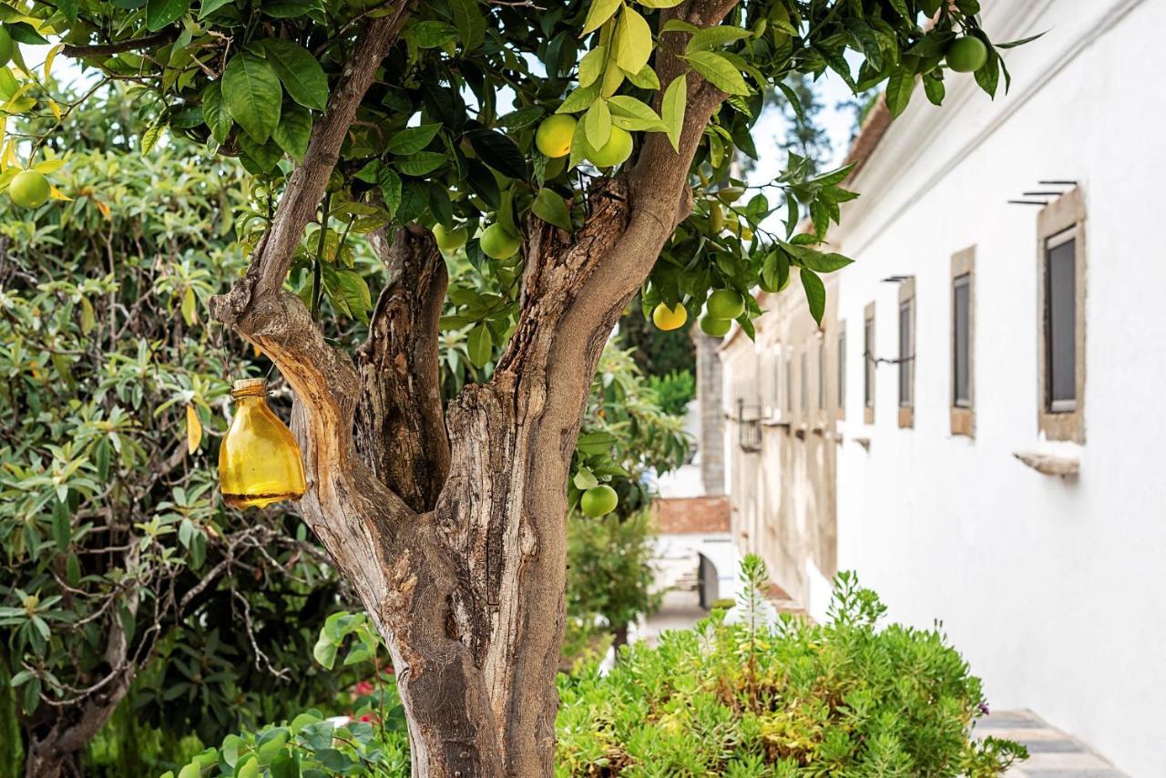 Convento Sao Paulo - Hotel Rural Redondo Εξωτερικό φωτογραφία